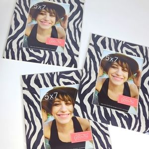 Green Tree Gallery 3 New Photo Mats Zebra Stripe 8x10 5x7